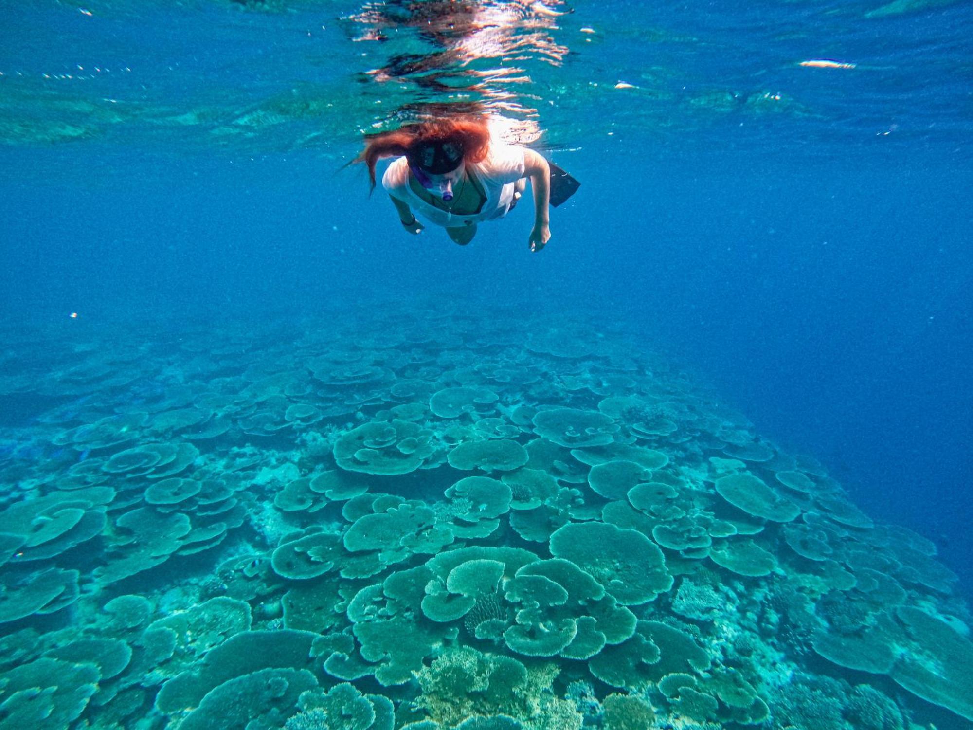 Manta Sea View Himandhoo Hotel ภายนอก รูปภาพ
