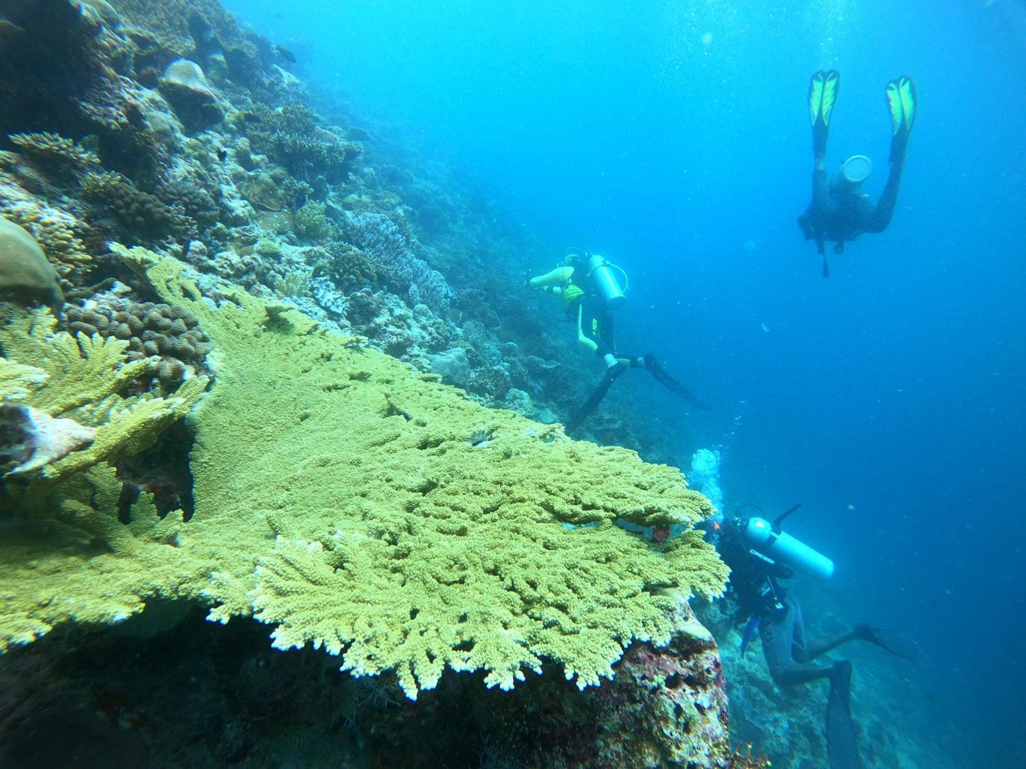 Manta Sea View Himandhoo Hotel ภายนอก รูปภาพ